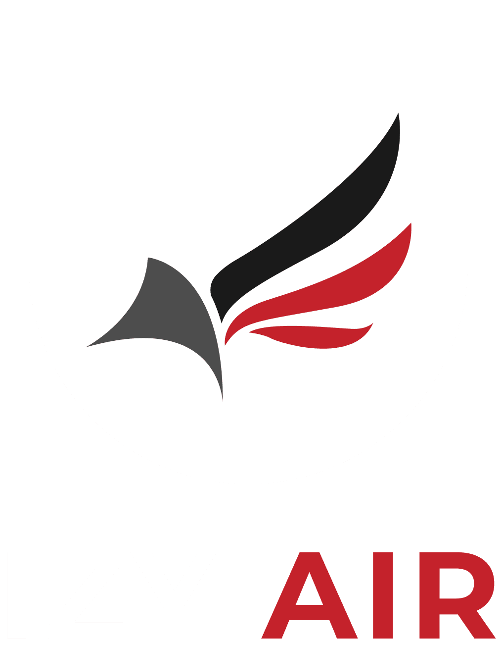 Izy Air